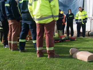 Orientarea în carieră